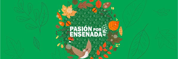 Prensa Ensenada Profile Banner