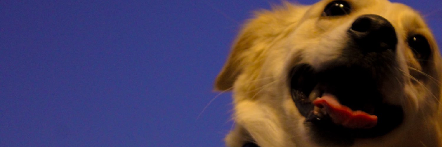irem banner