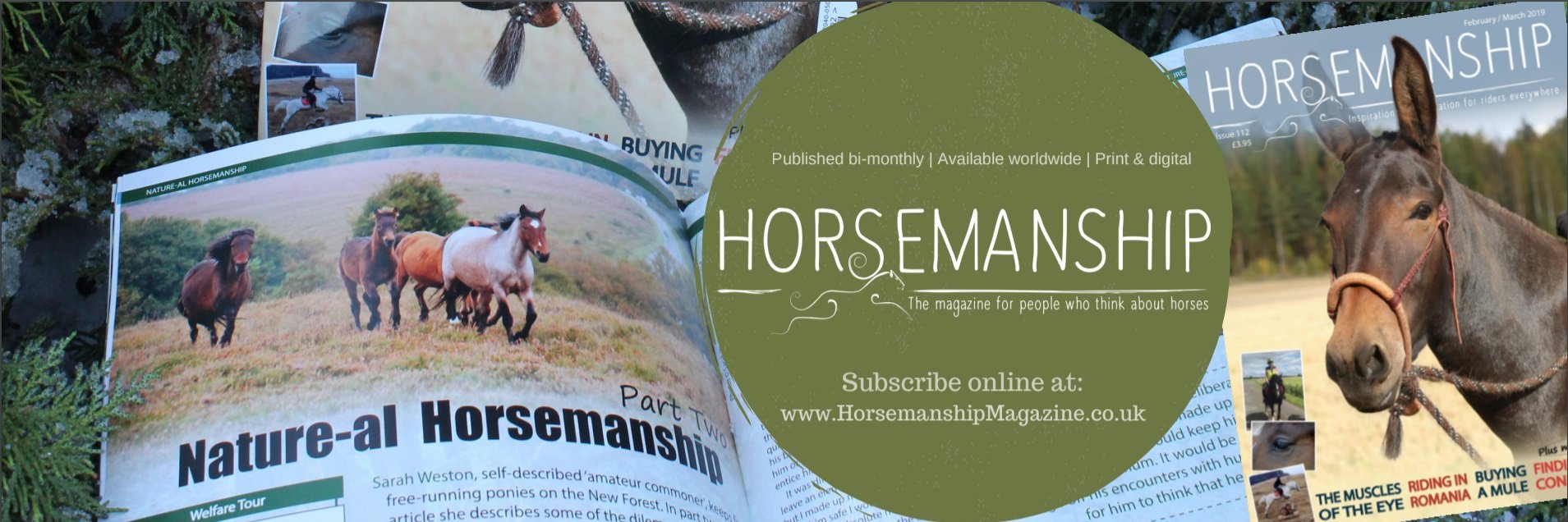HorsemanshipMag's profile banner image