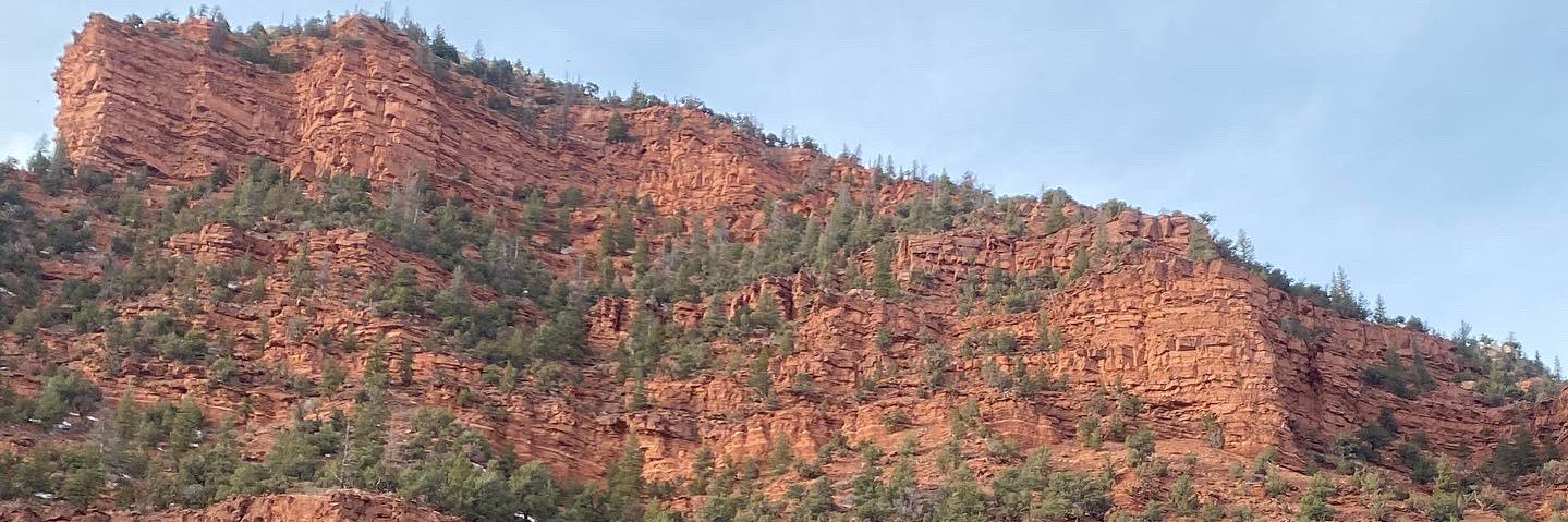 Ashton Tamras banner