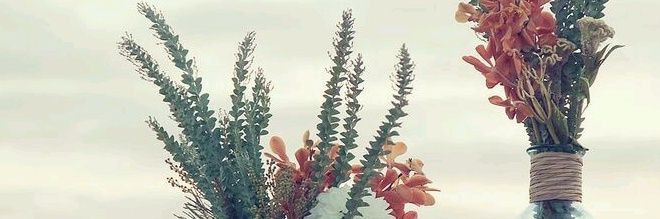 marnia_oualid's profile banner image