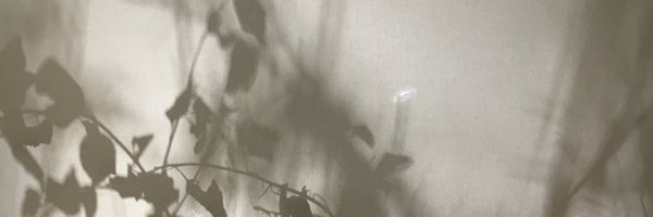 carlihumphries Profile Banner
