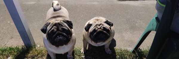 csorike1520 Profile Banner