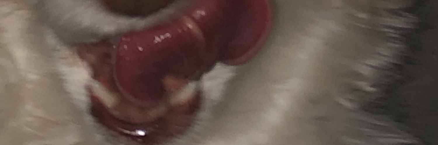 clairEEK17's profile banner image