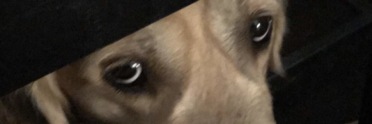 anthohgl57's profile banner image