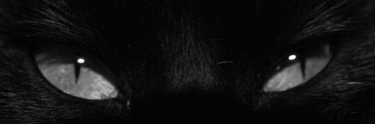 pangela99's profile banner image