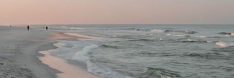 _jenilinn's profile banner image