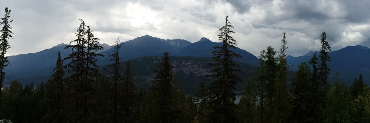 Natalie Freeman banner