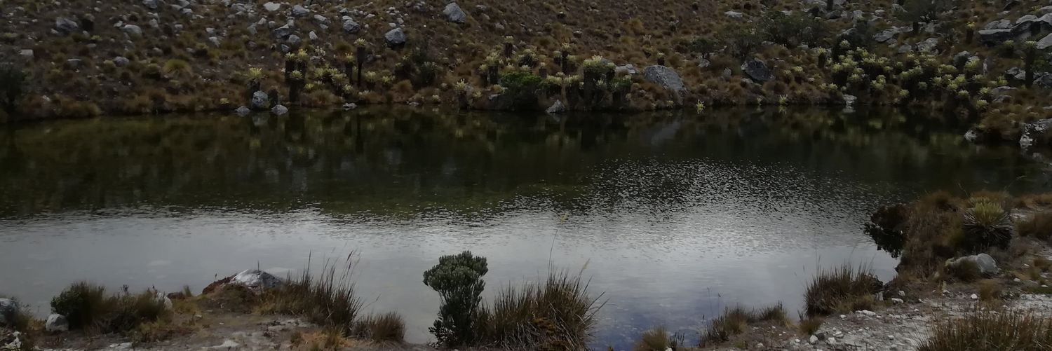 WIBEJA12's profile banner image