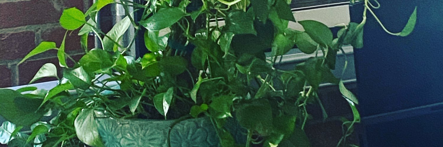 Thatdude23. banner