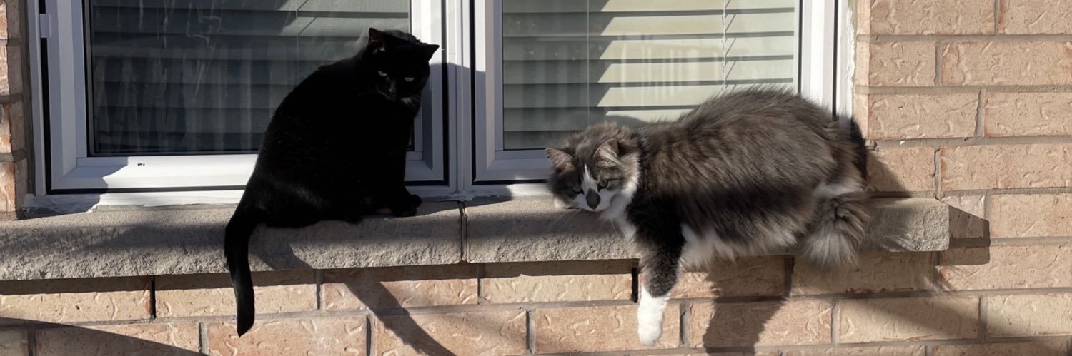 Anna ✧˖°. banner