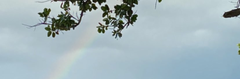Andiibebe's profile banner image