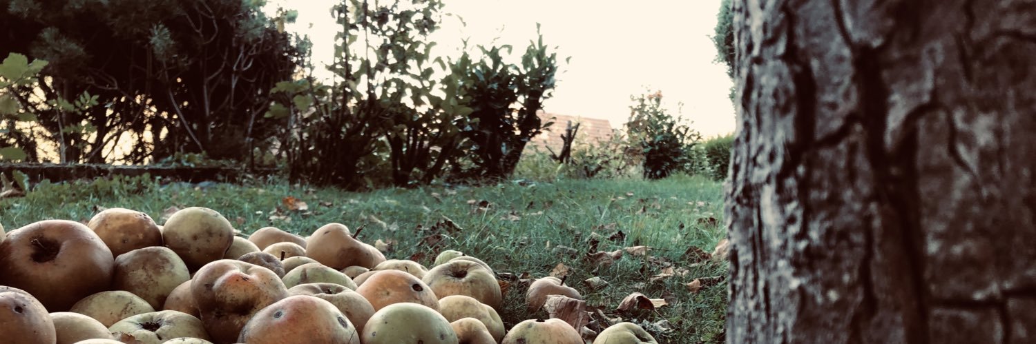 ㅤㅤㅤㅤㅤㅤㅤㅤㅤㅤㅤㅤ banner