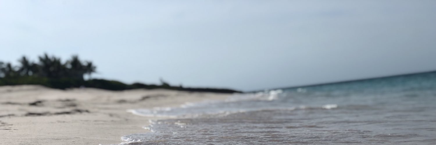 Christopher Hong banner