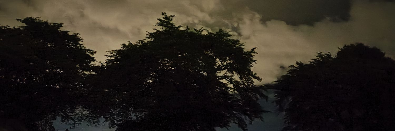 devil_maiko's profile banner image