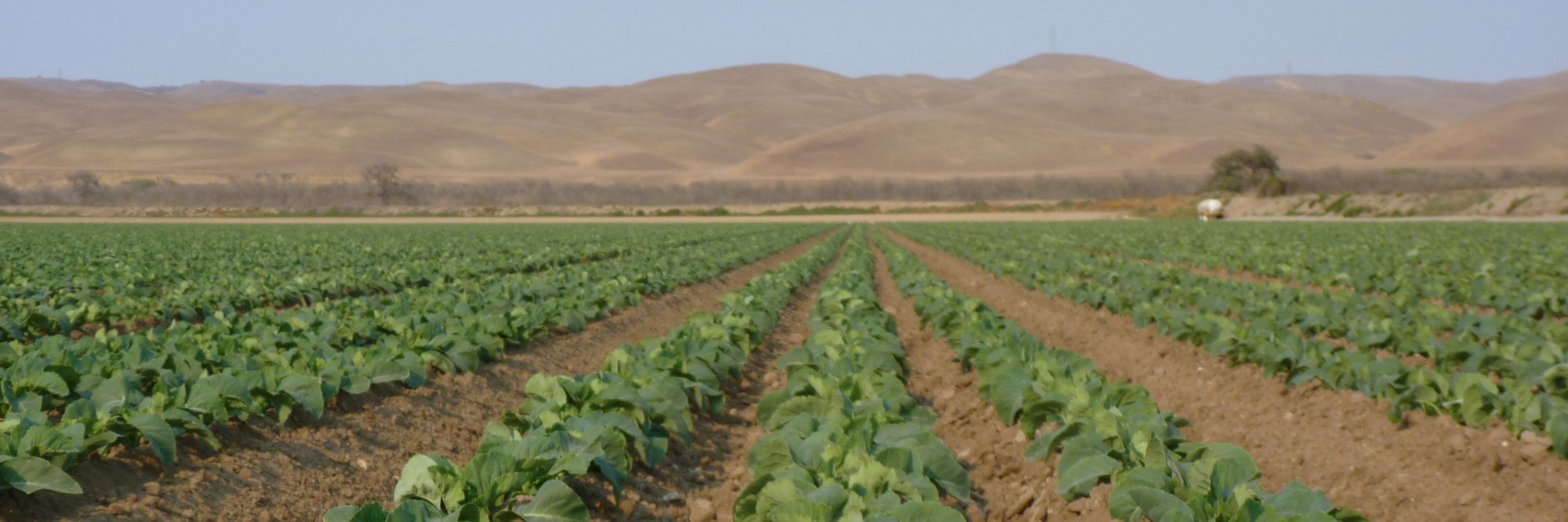 Ian Grettenberger banner