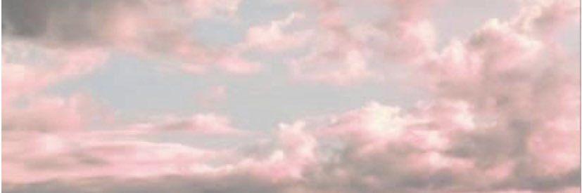 rachmfarrell's profile banner image