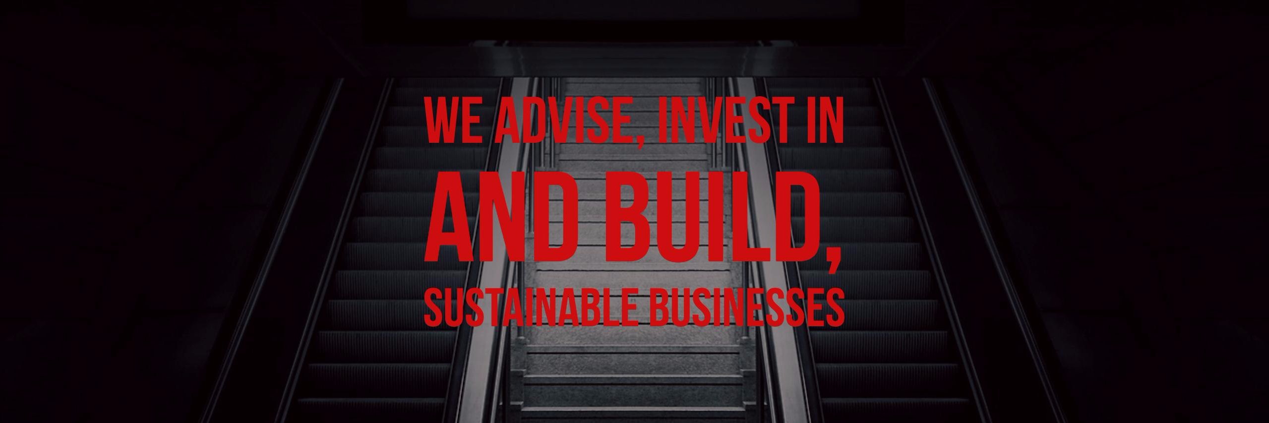 vedereventures's profile banner image