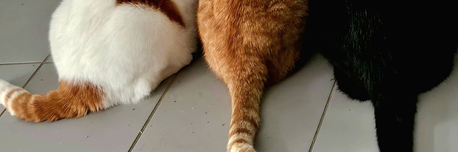 Pippaemin's profile banner image