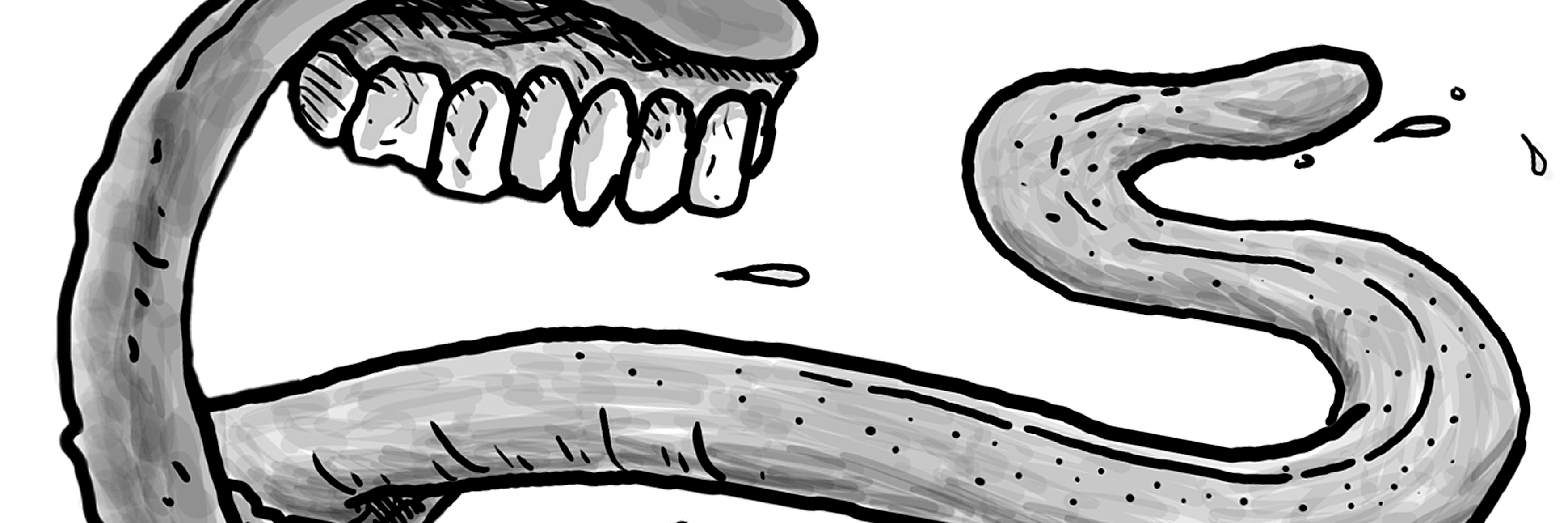 CatoOliva's profile banner image