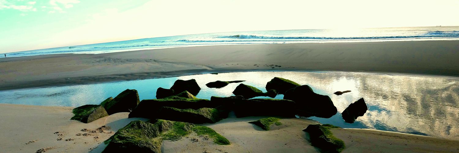 LisaLisajhill's profile banner image