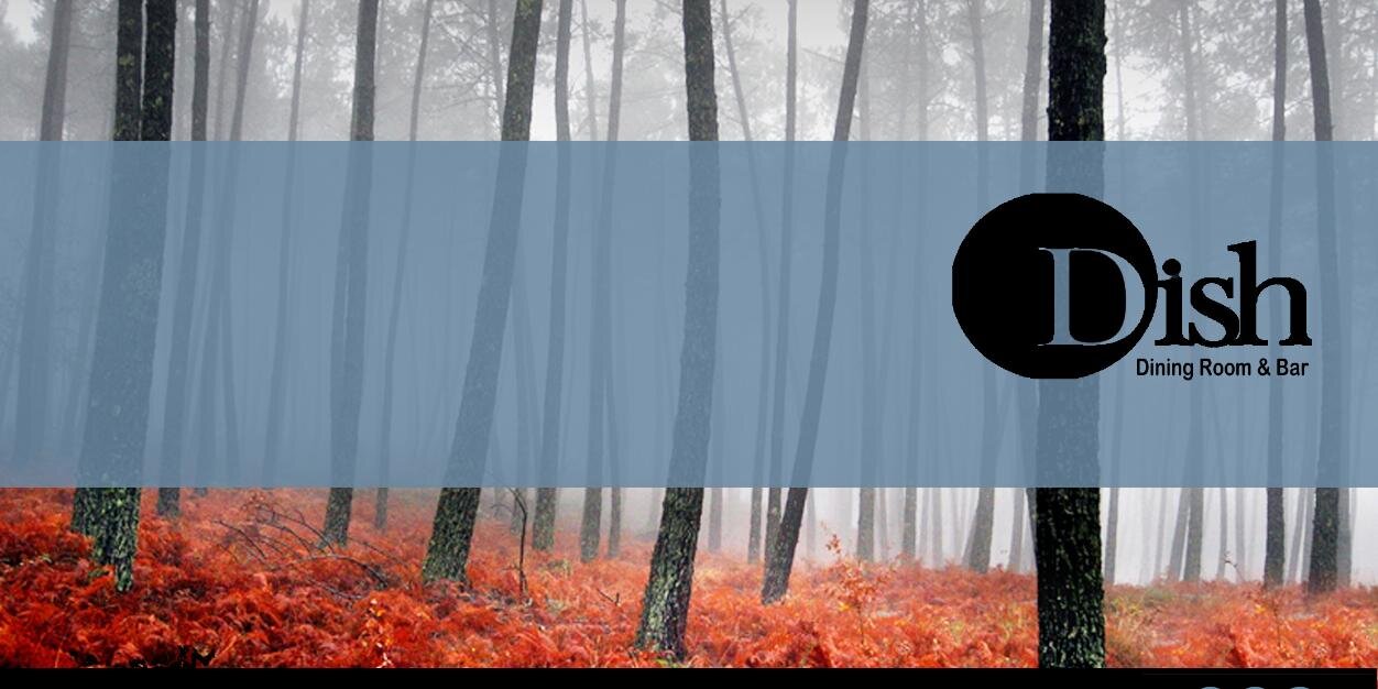 dishleeds's profile banner image
