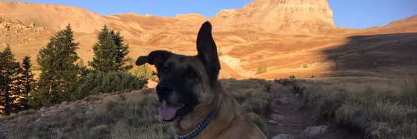 n8_technavance Profile Banner