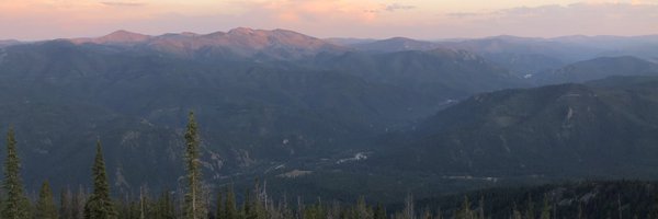 lilyxu0 Profile Banner