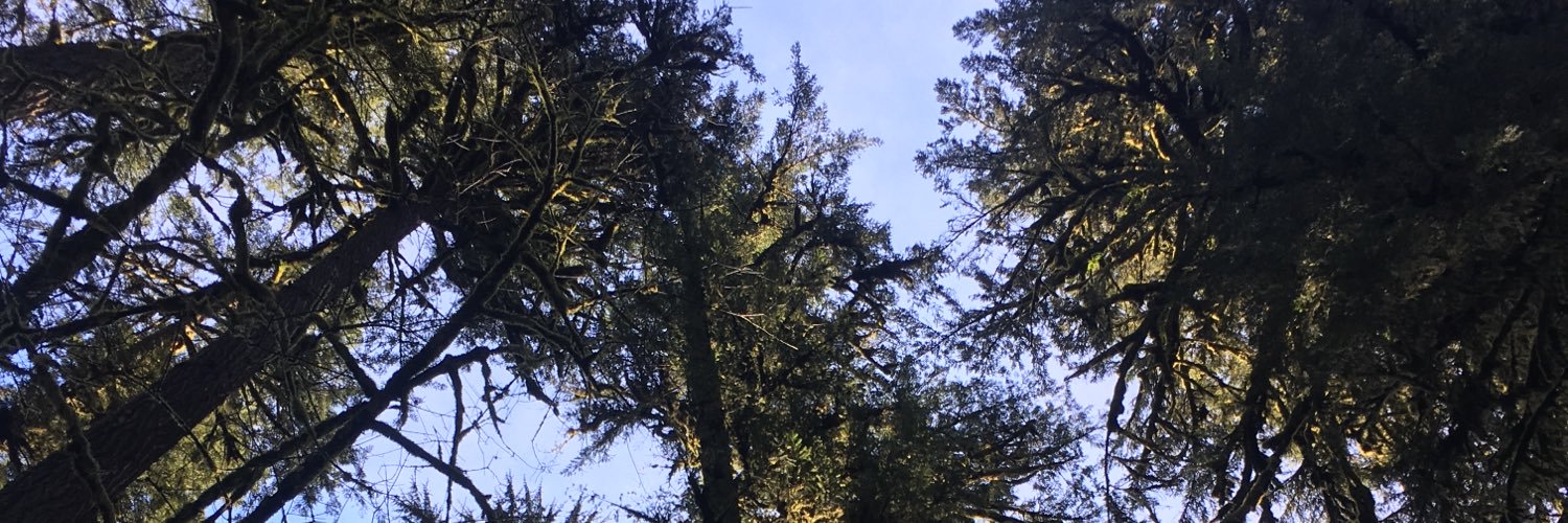 Rachel Coleman banner