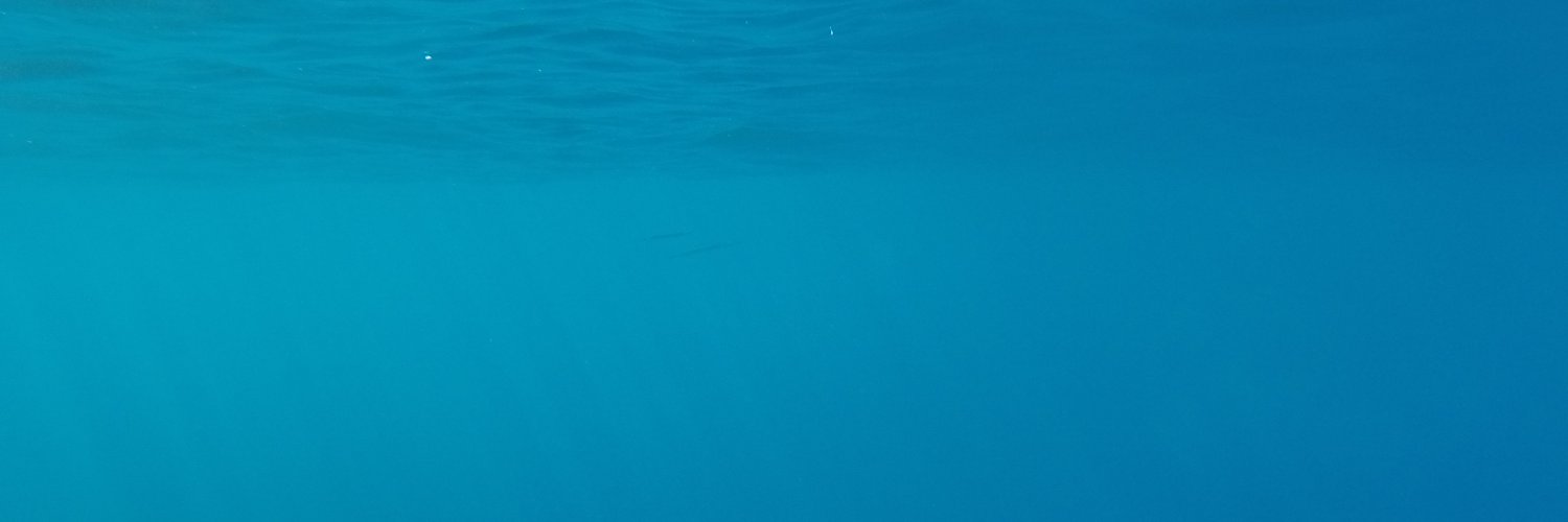 AlexandreImmas's profile banner image