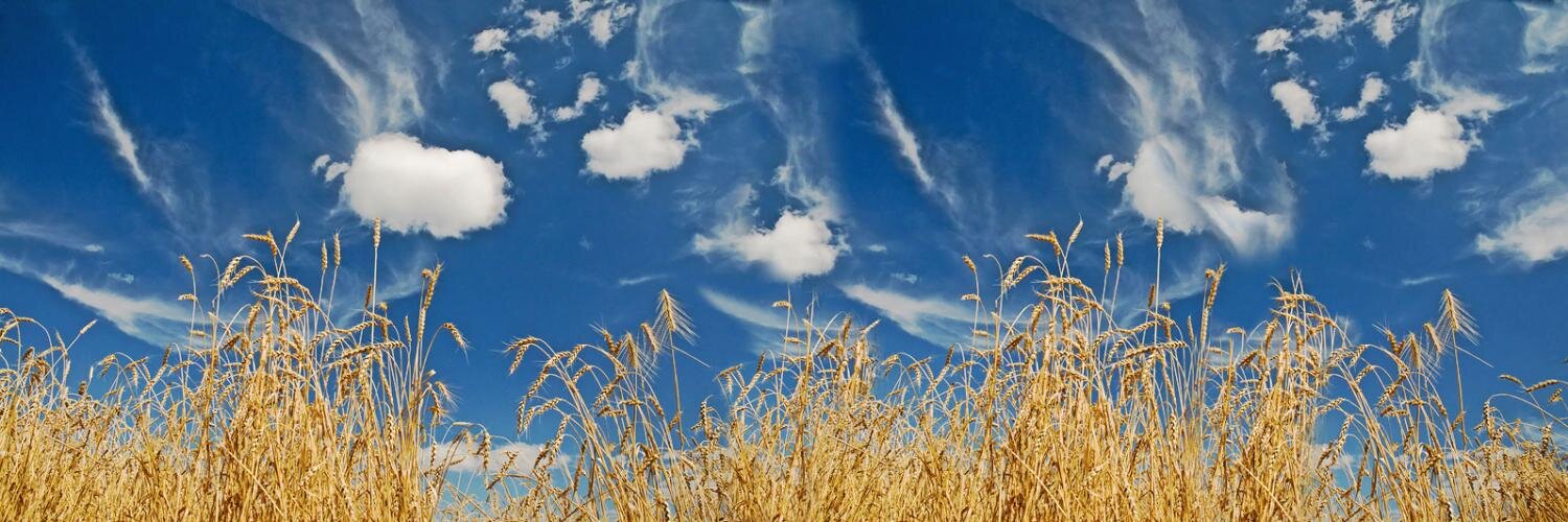 agro173's profile banner image