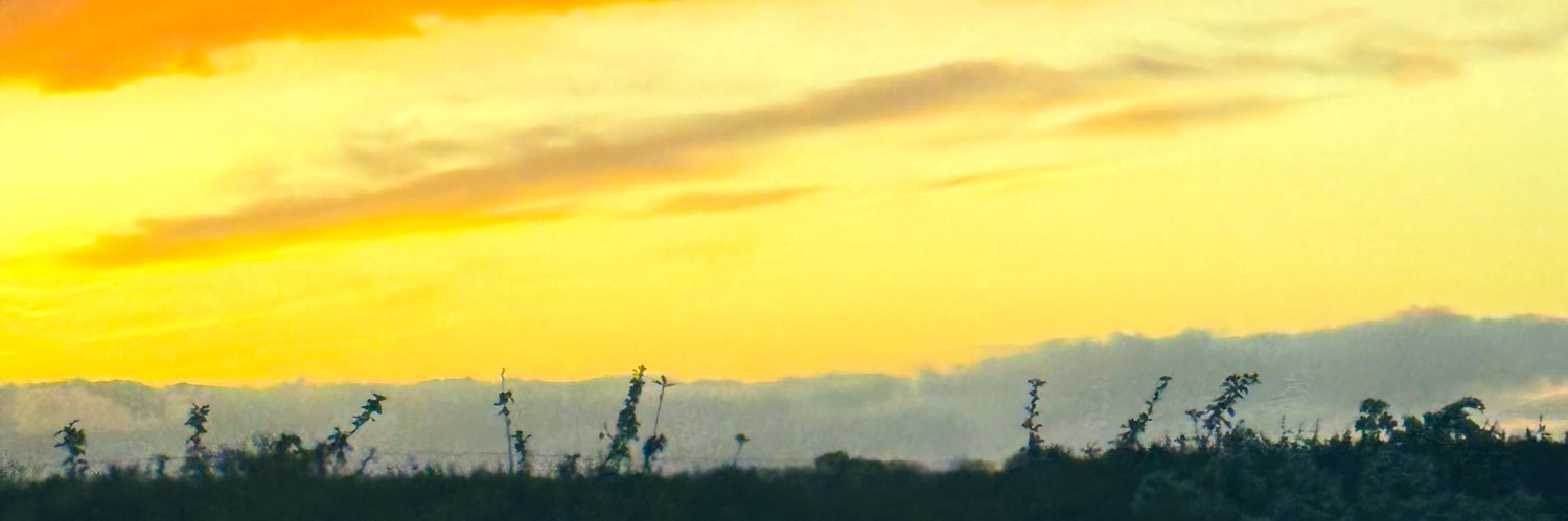 iamtimibanks's profile banner image