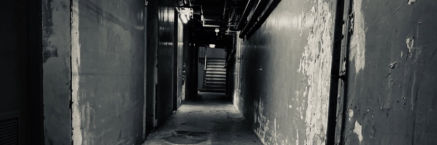 MadeUsTheCat's profile banner image