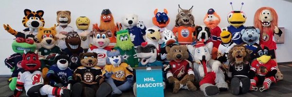 Mascot Fan Network Profile Banner