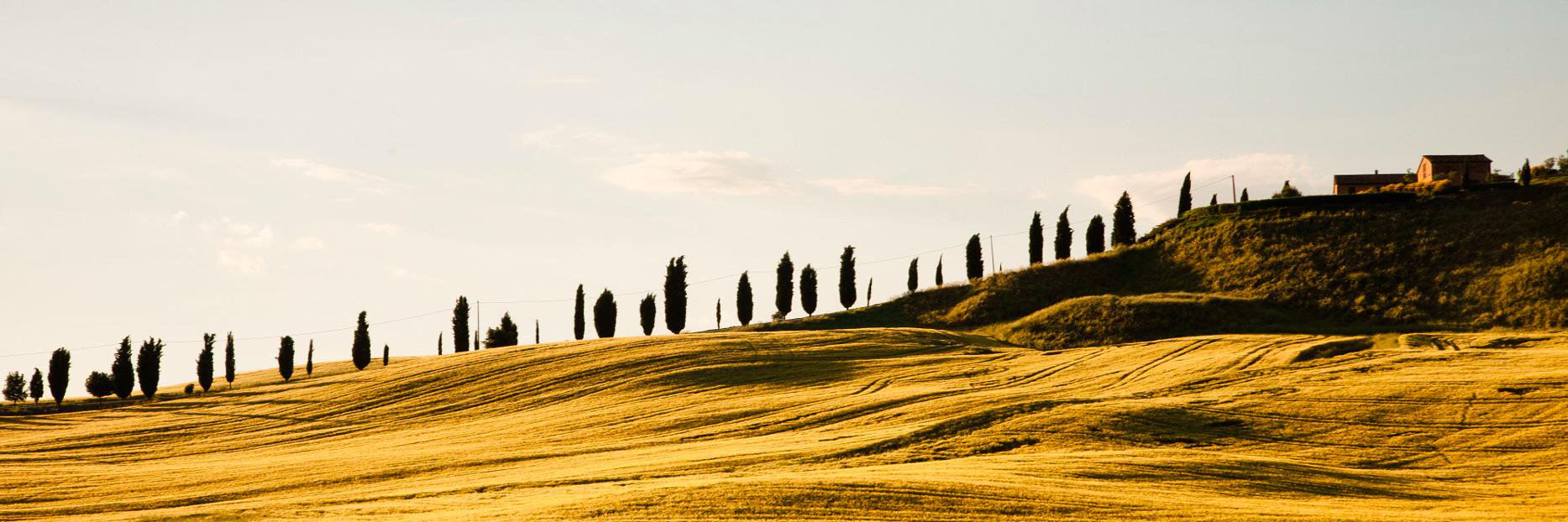 gdebolini's profile banner image