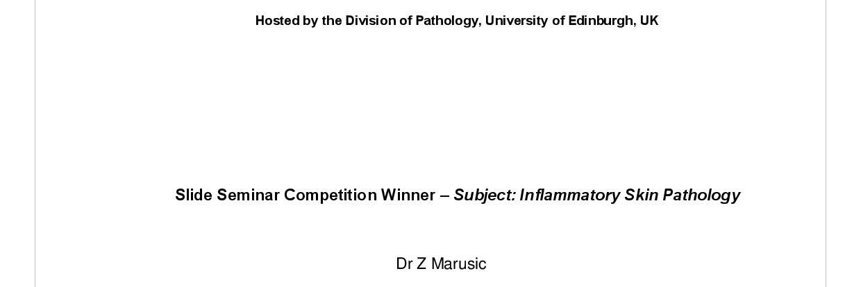 Zlatko Marusic banner