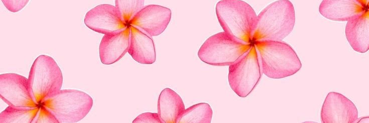 scarnichiamaga's profile banner image
