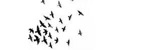 wahab_er's profile banner image