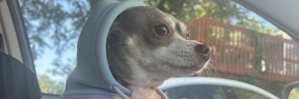 stephierupp Profile Banner