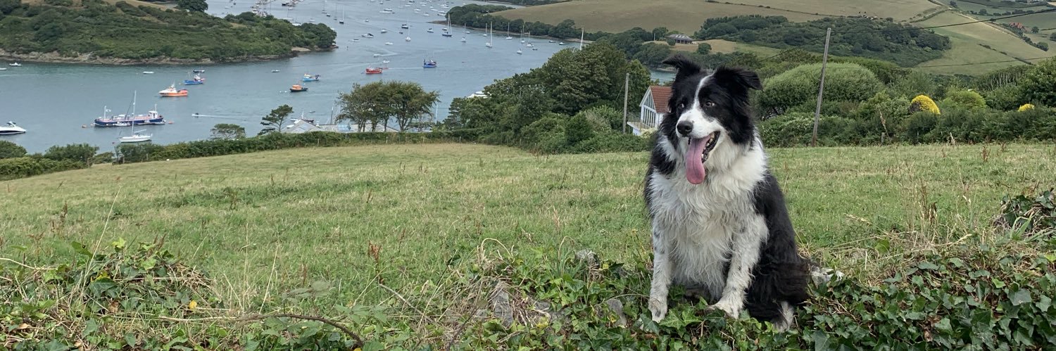 Dave Eggleton banner