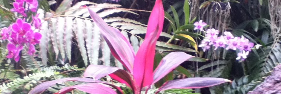marilol69's profile banner image