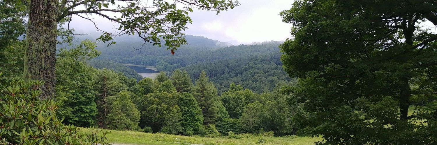 dontcutcait's profile banner image