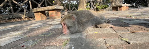 Tidus10xffx Profile Banner