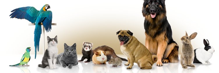 ESAcenter's profile banner image