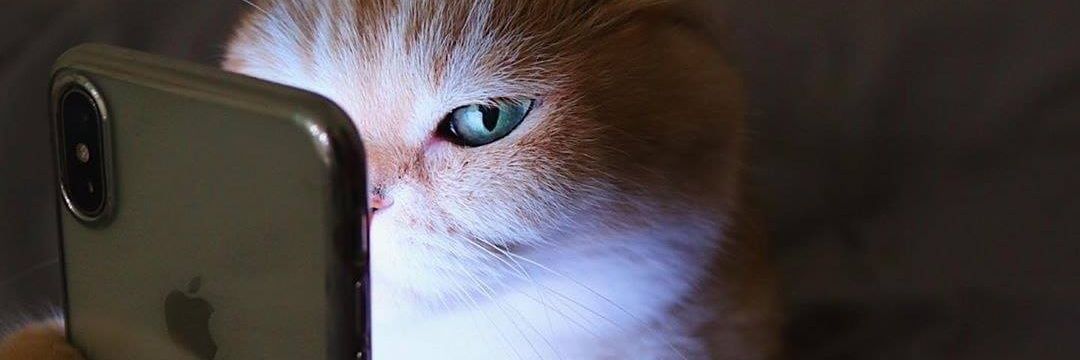 pinatihlaras's profile banner image