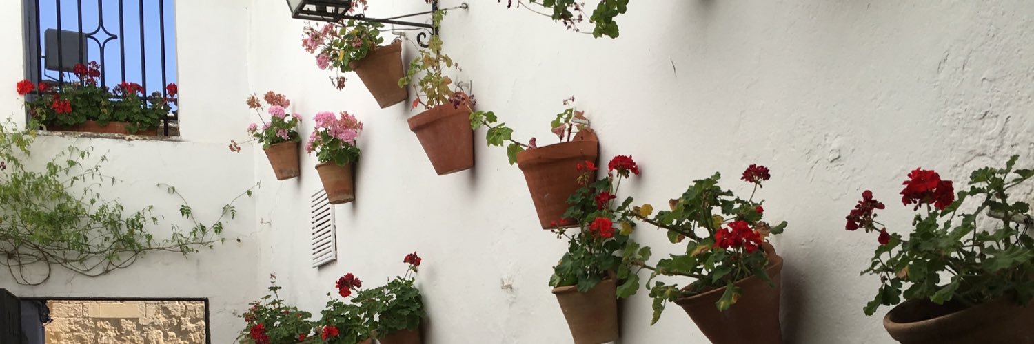 montigony's profile banner image