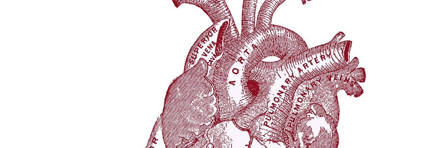 _bicv's profile banner image