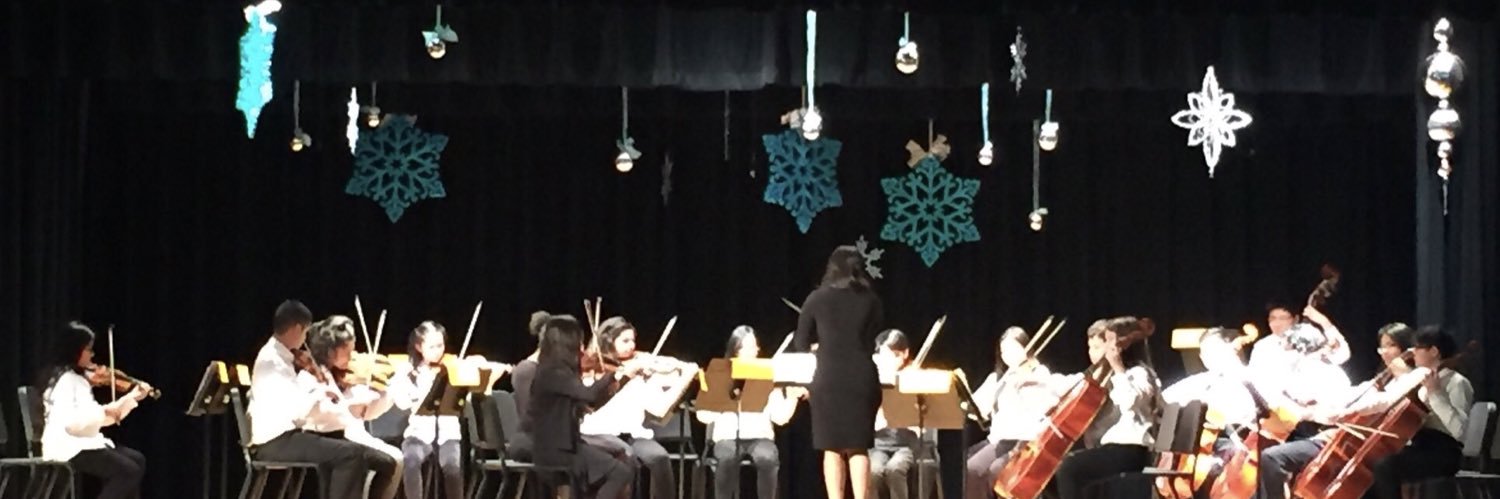 Alief MS Orchestra banner