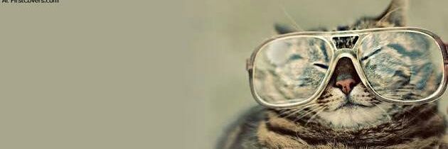 Dee...Kay...Yas... banner