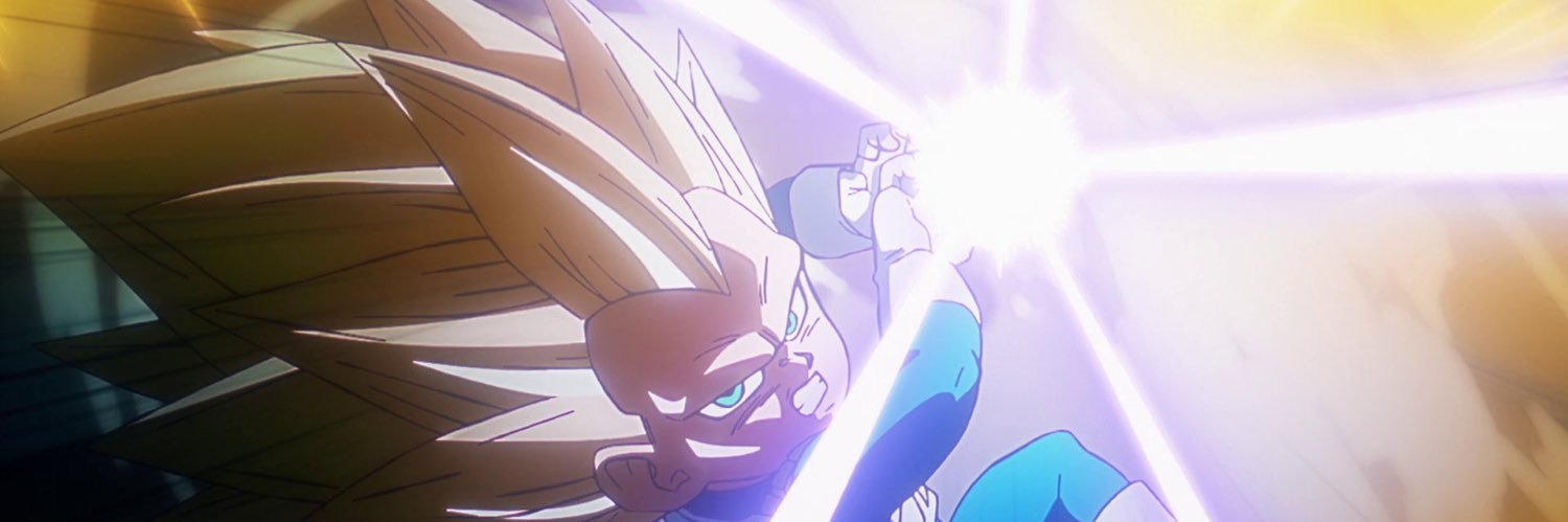 Roberto Branni banner